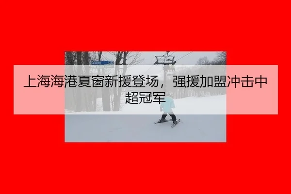上海海港夏窗新援登场，强援加盟冲击中超冠军
