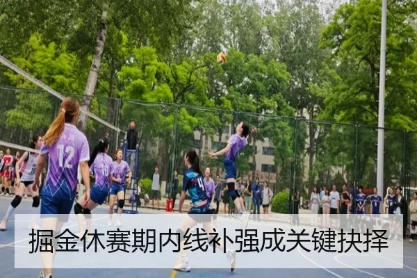 掘金休赛期内线补强成关键抉择